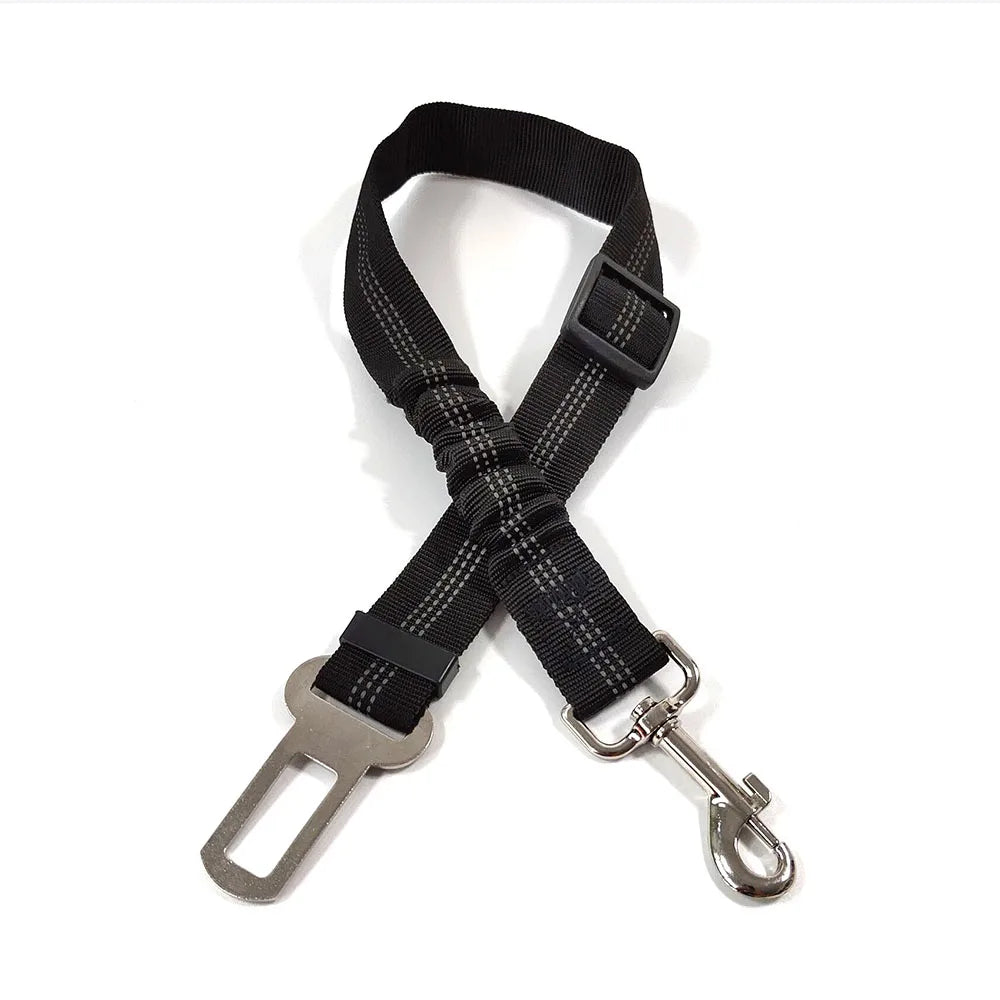 Buckled Seat Belt