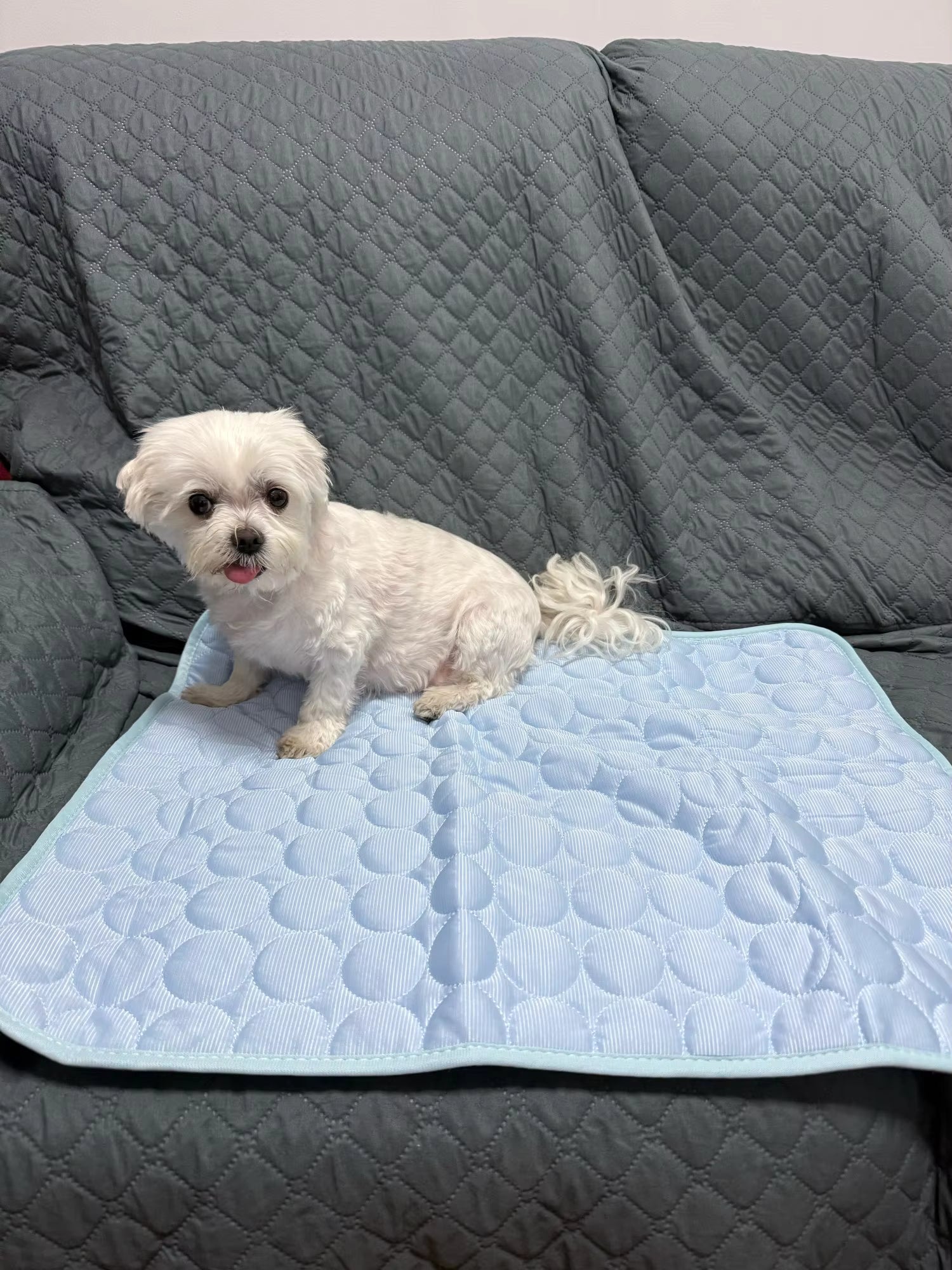 Cooling Mat