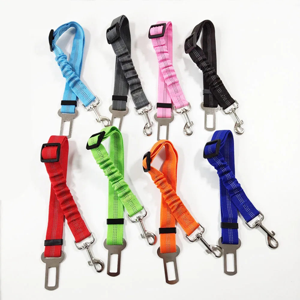 Buckled Seat Belt