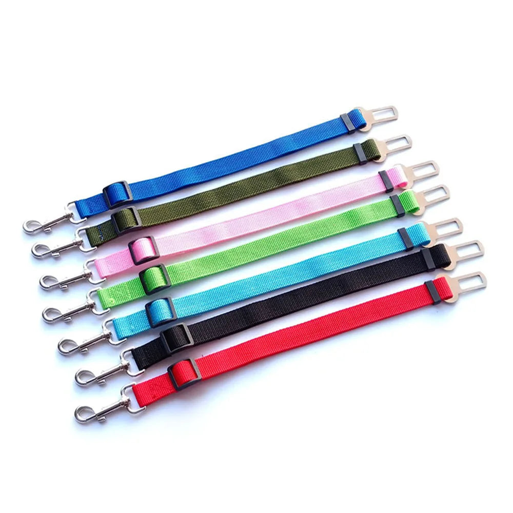 Buckled Seat Belt