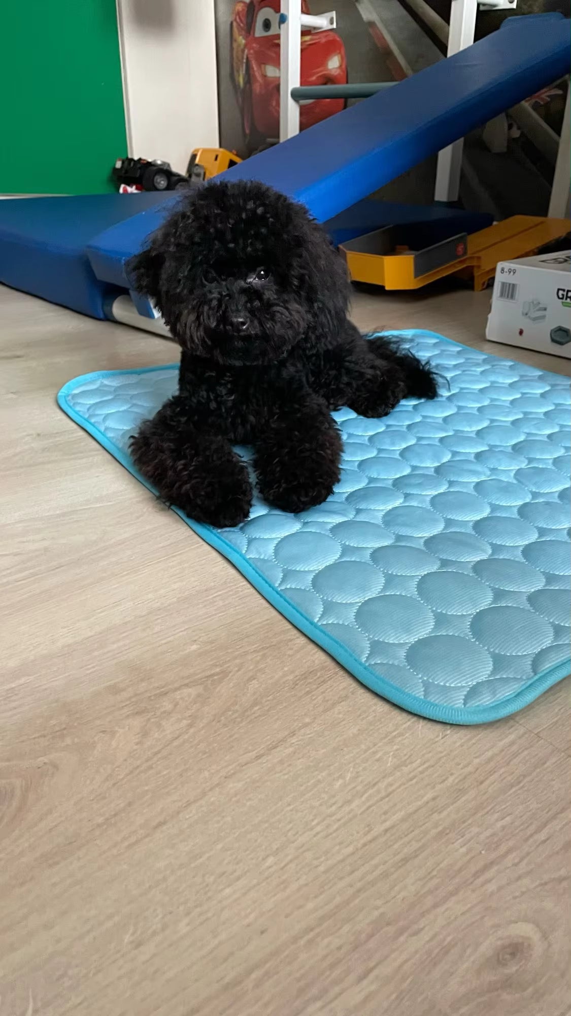Cooling Mat