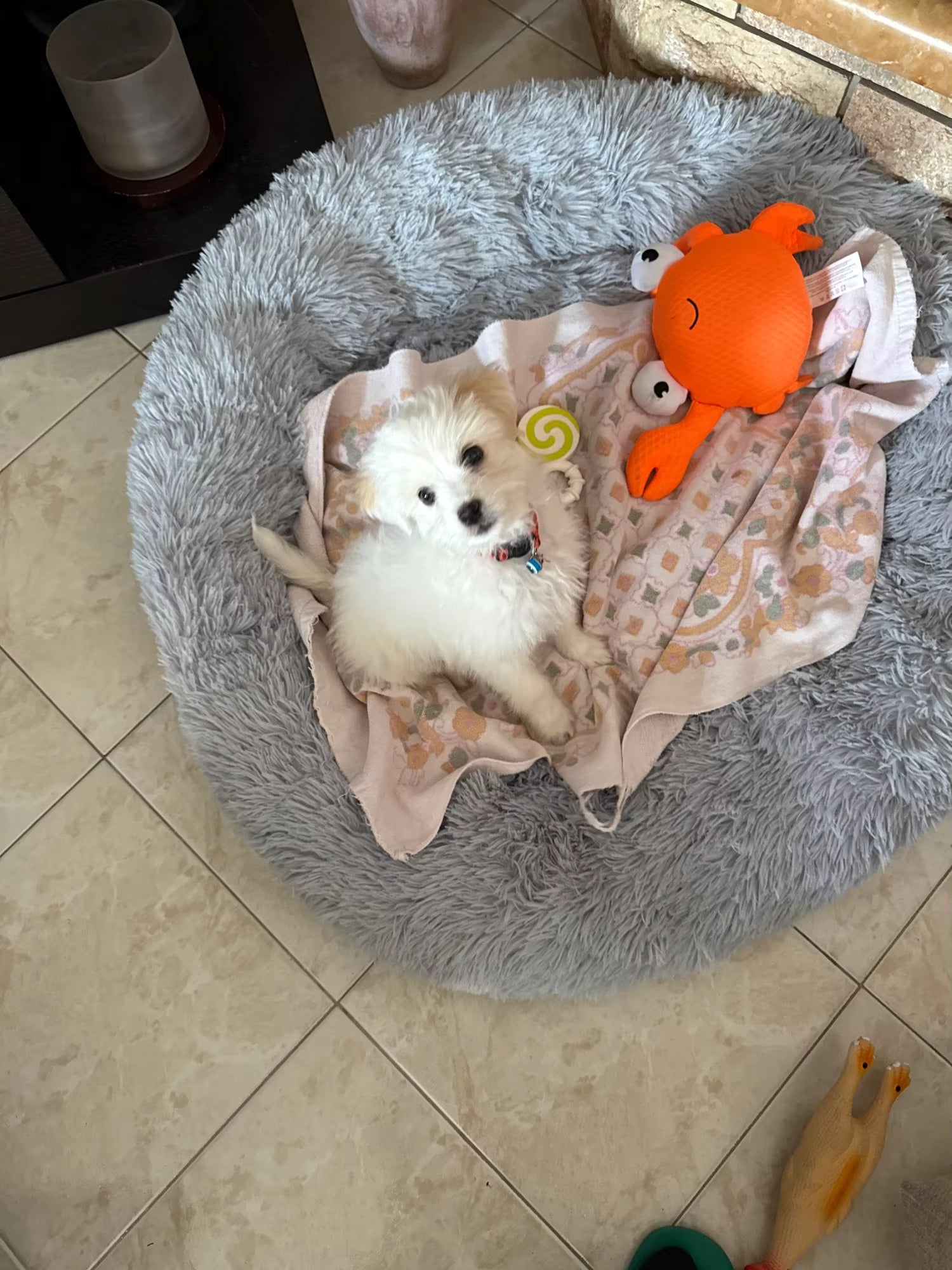 Round Plush Bed