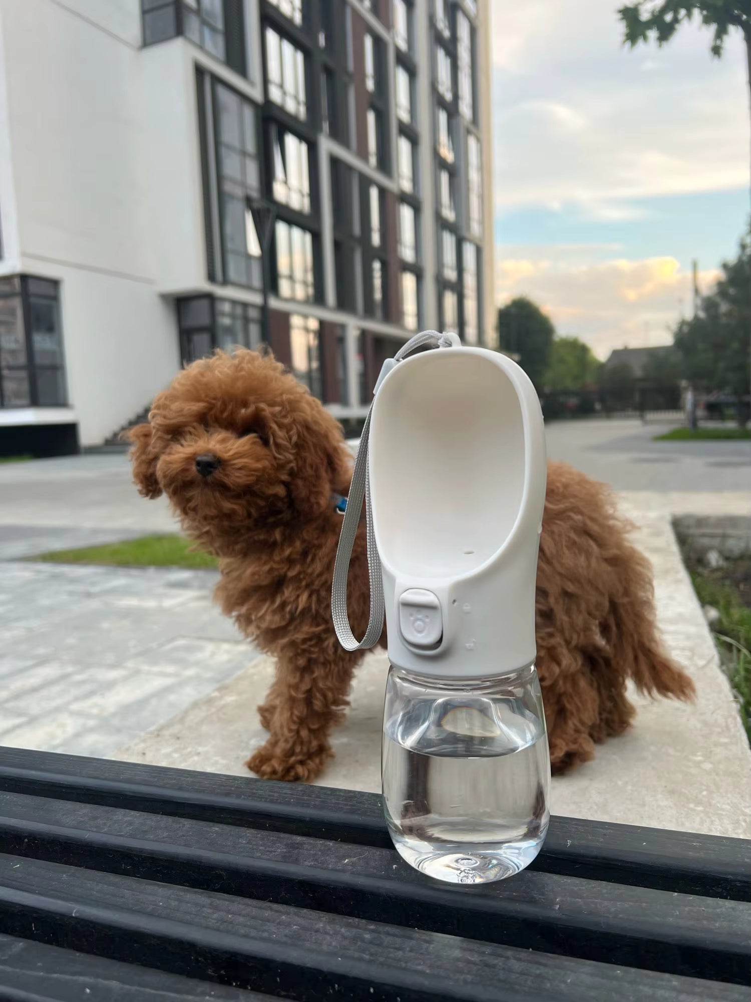 Portable Water Bottle