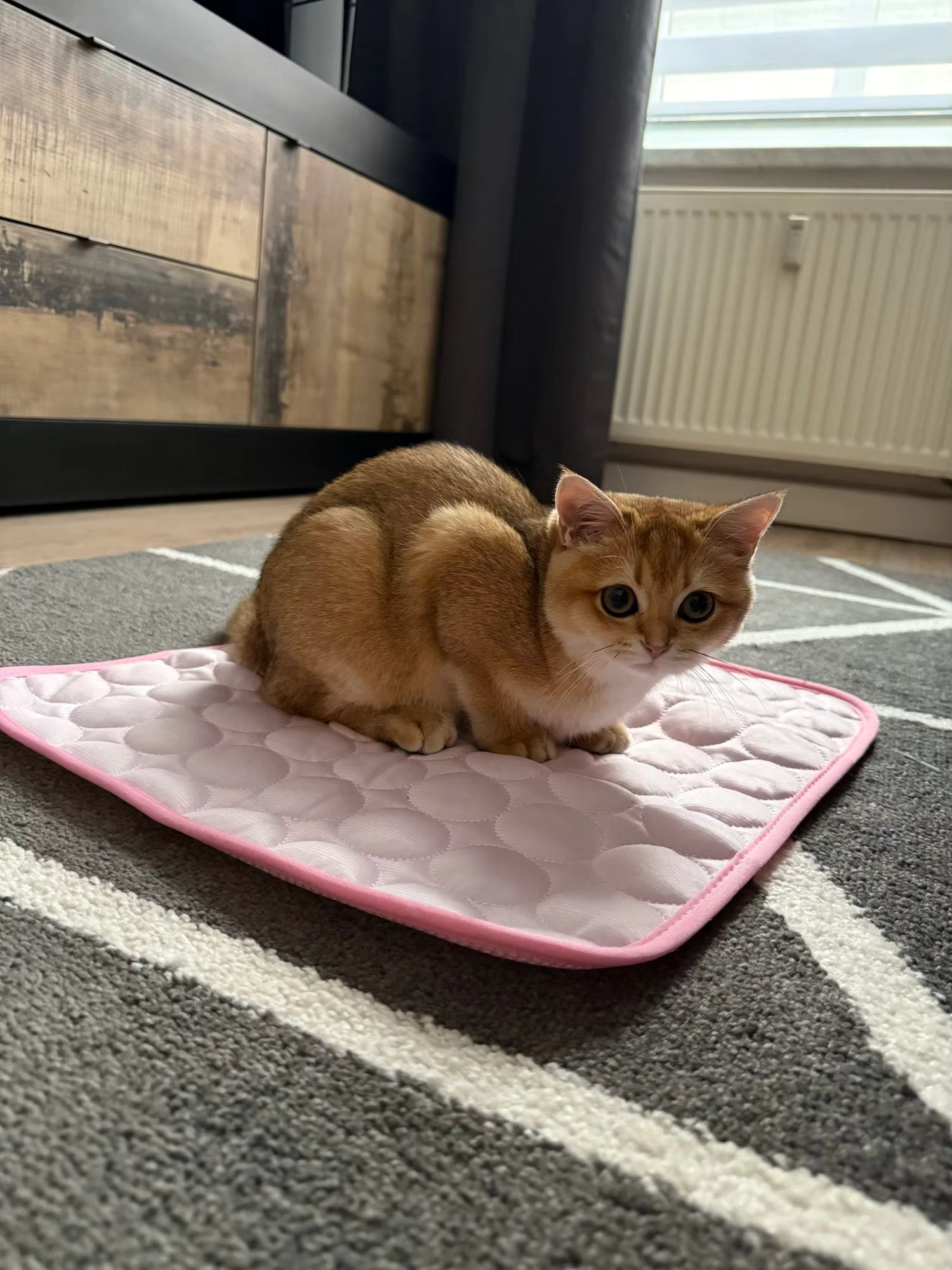 Cooling Mat