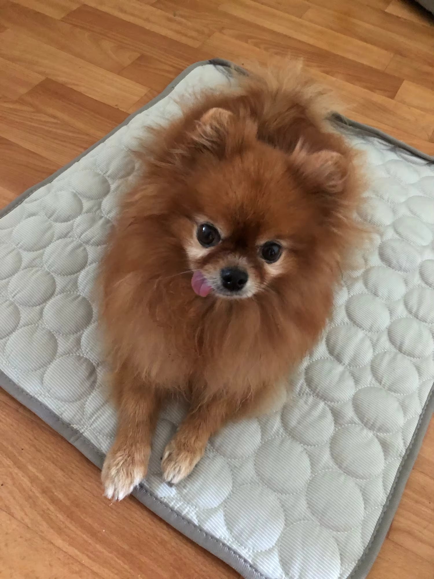 Cooling Mat