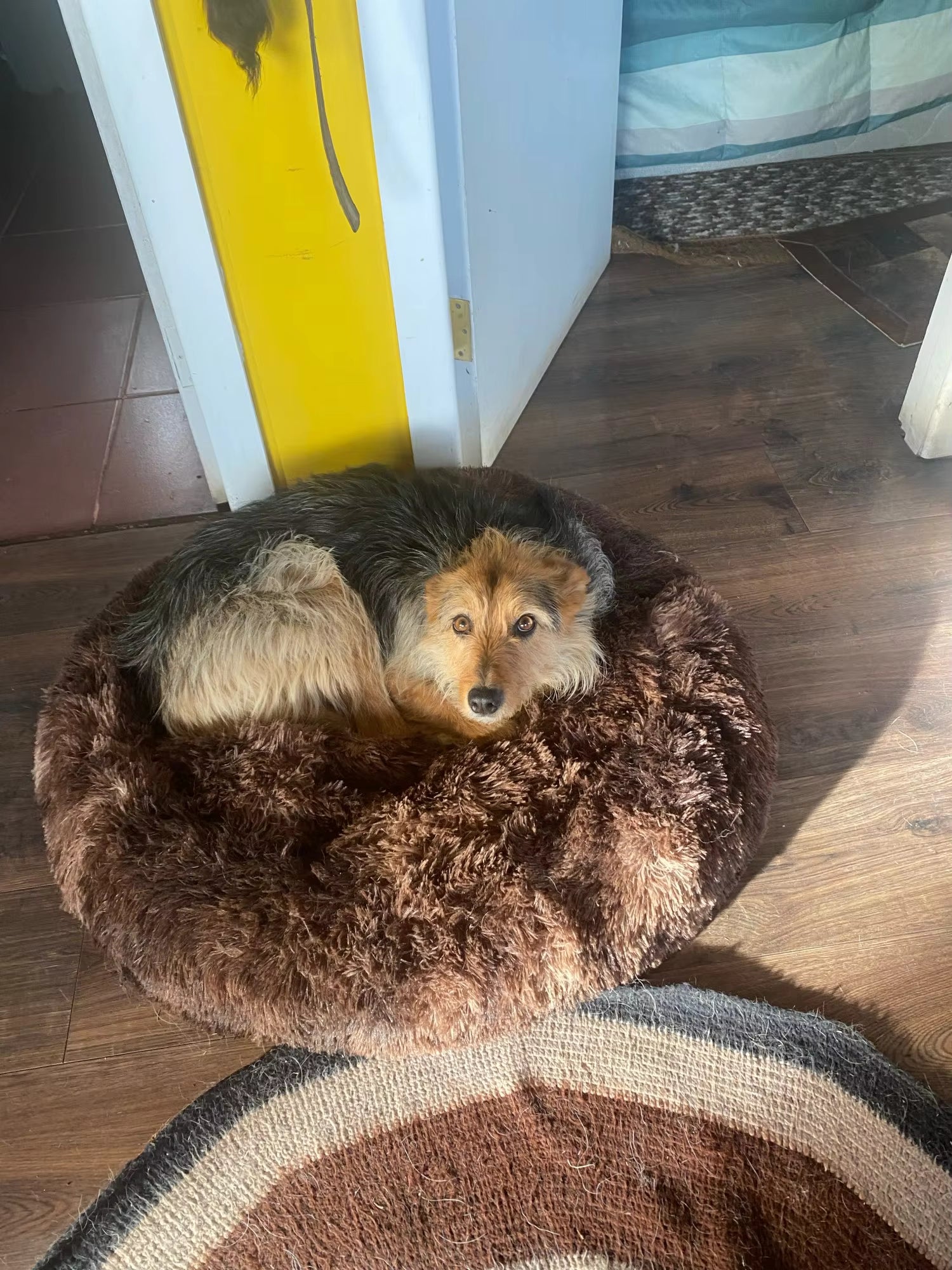 Round Plush Bed