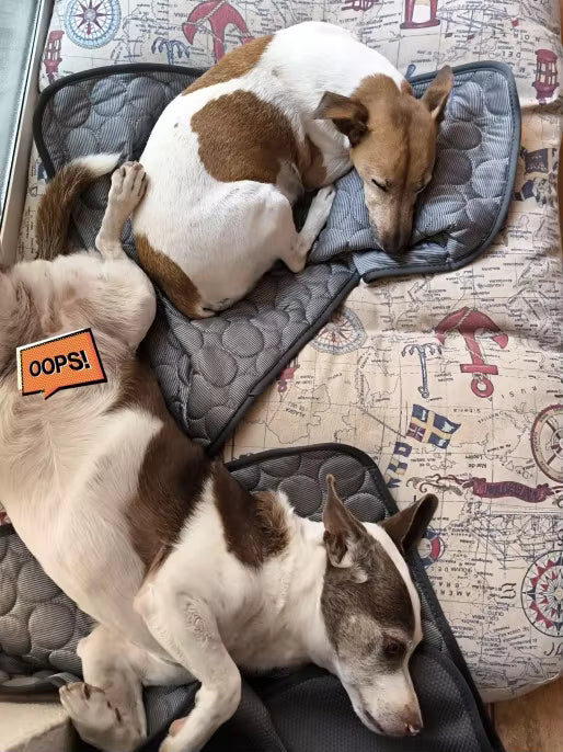 Cooling Mat