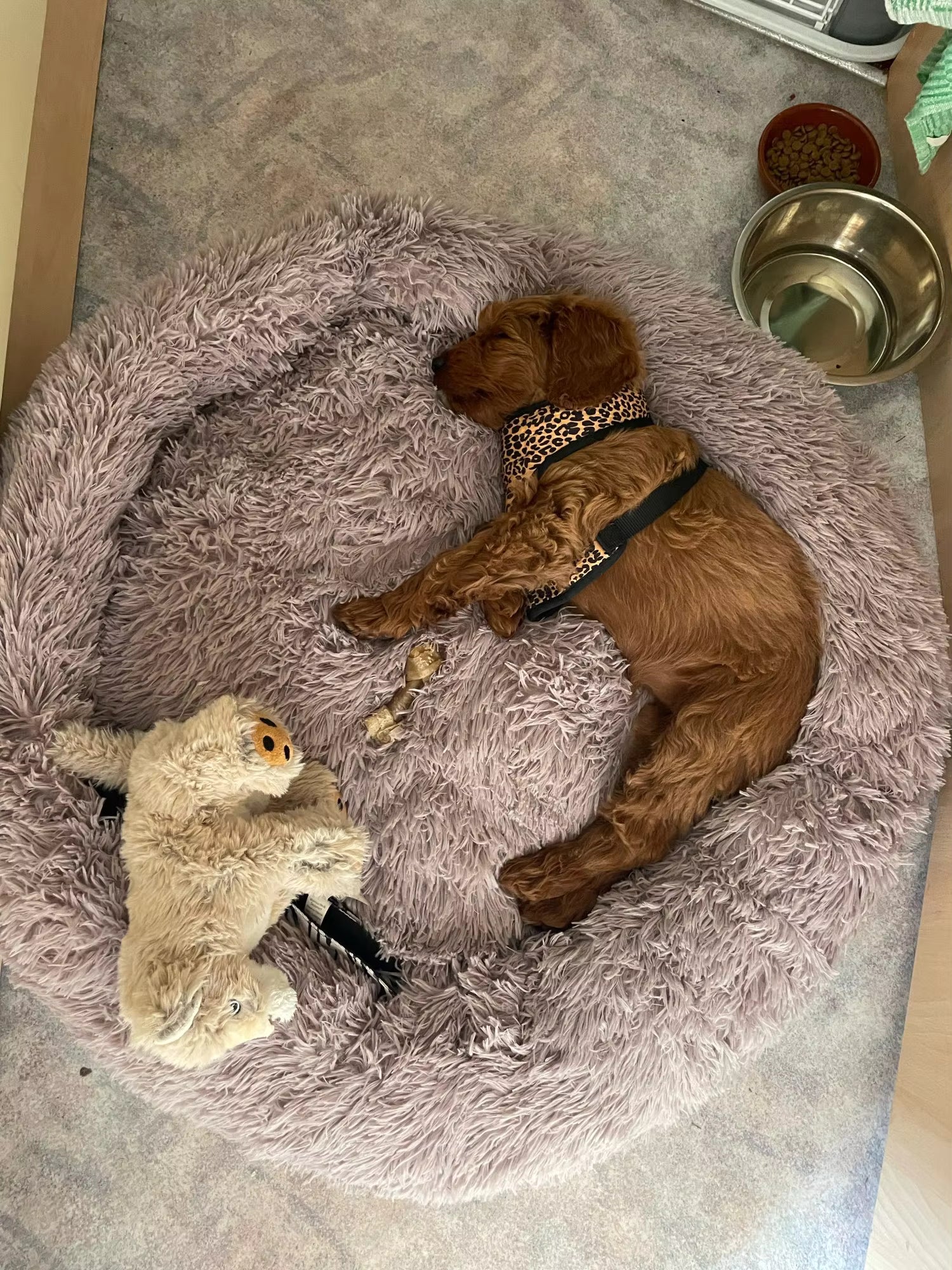 Round Plush Bed