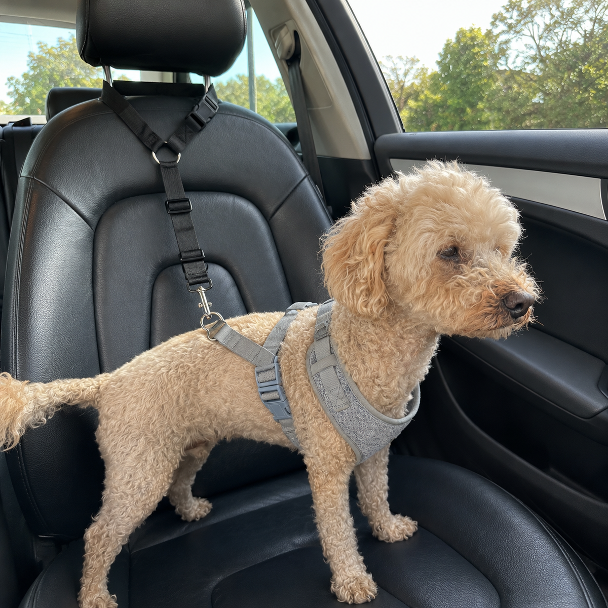 DoggoDiary Safety Headrest Belt