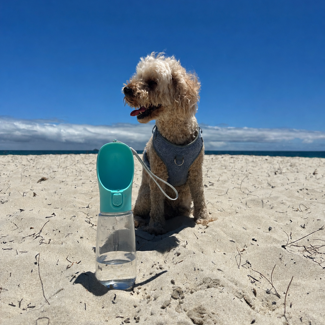 DoggoDiary Travel Bottle