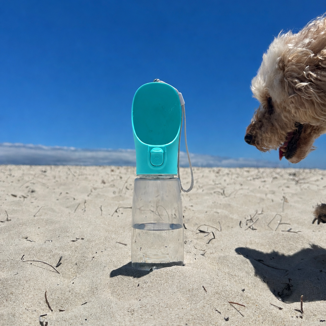 DoggoDiary Travel Bottle