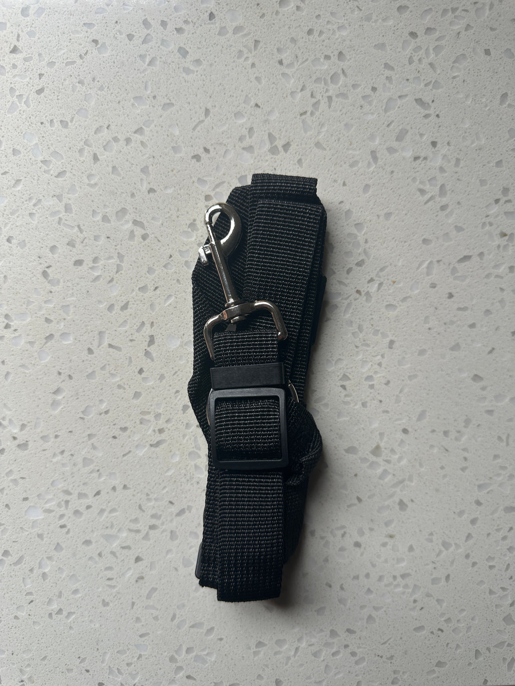 DoggoDiary™ Safety Headrest Belt