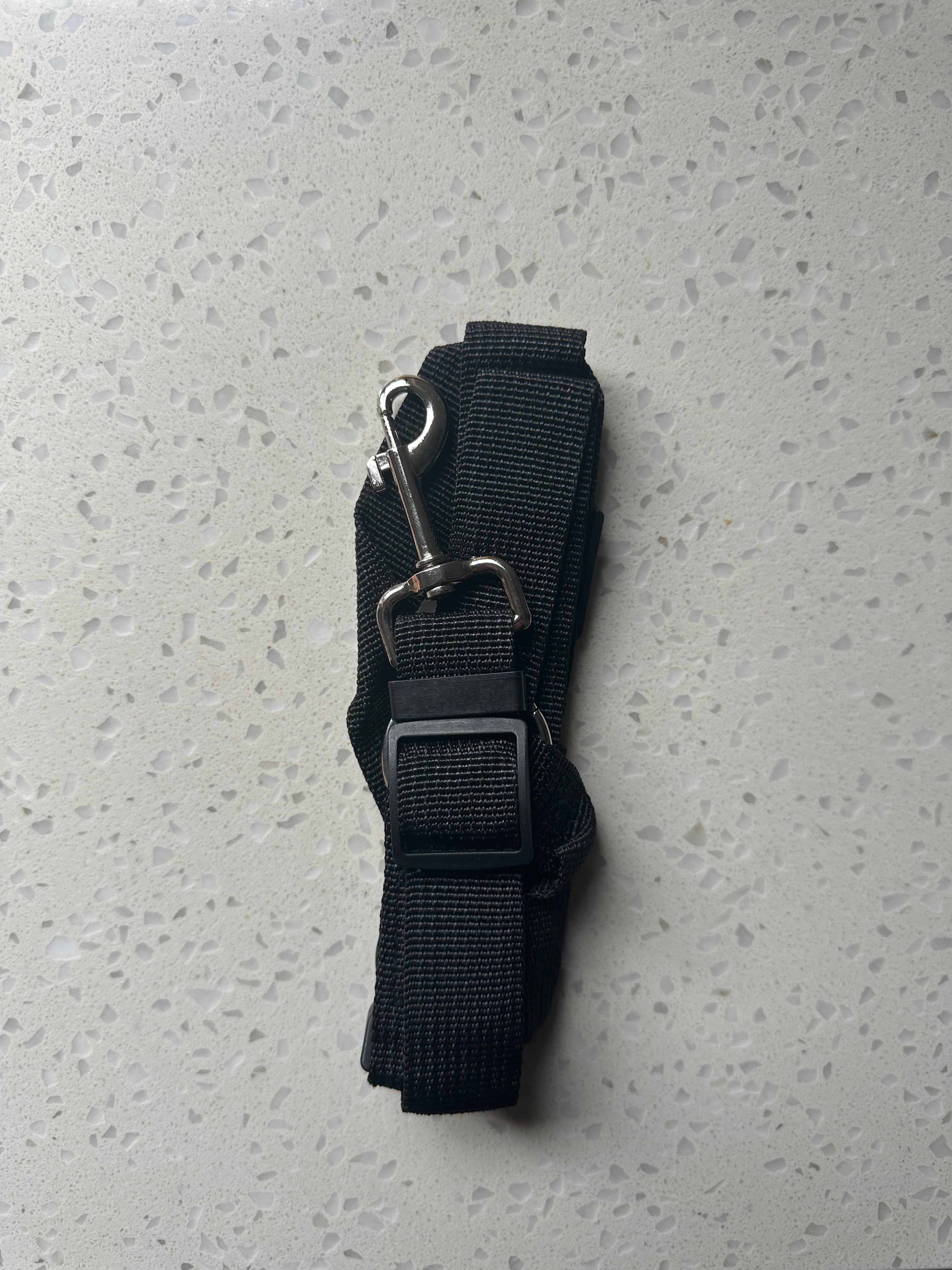 DoggoDiary™ Safety Headrest Belt