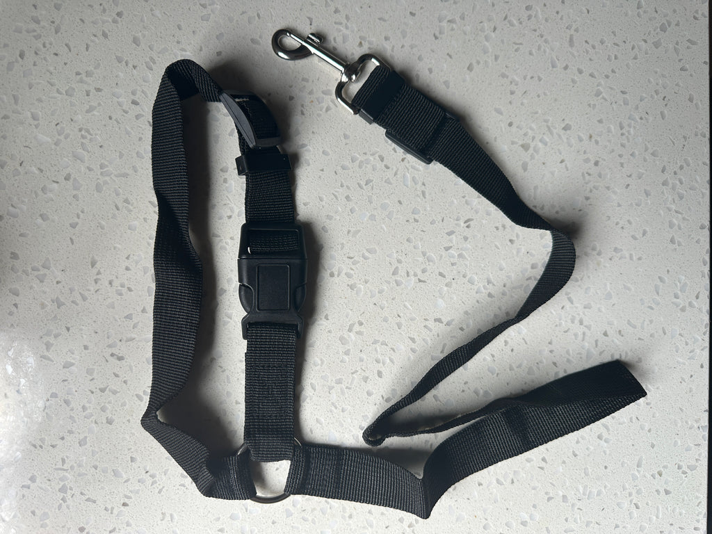 DoggoDiary™ Safety Headrest Belt