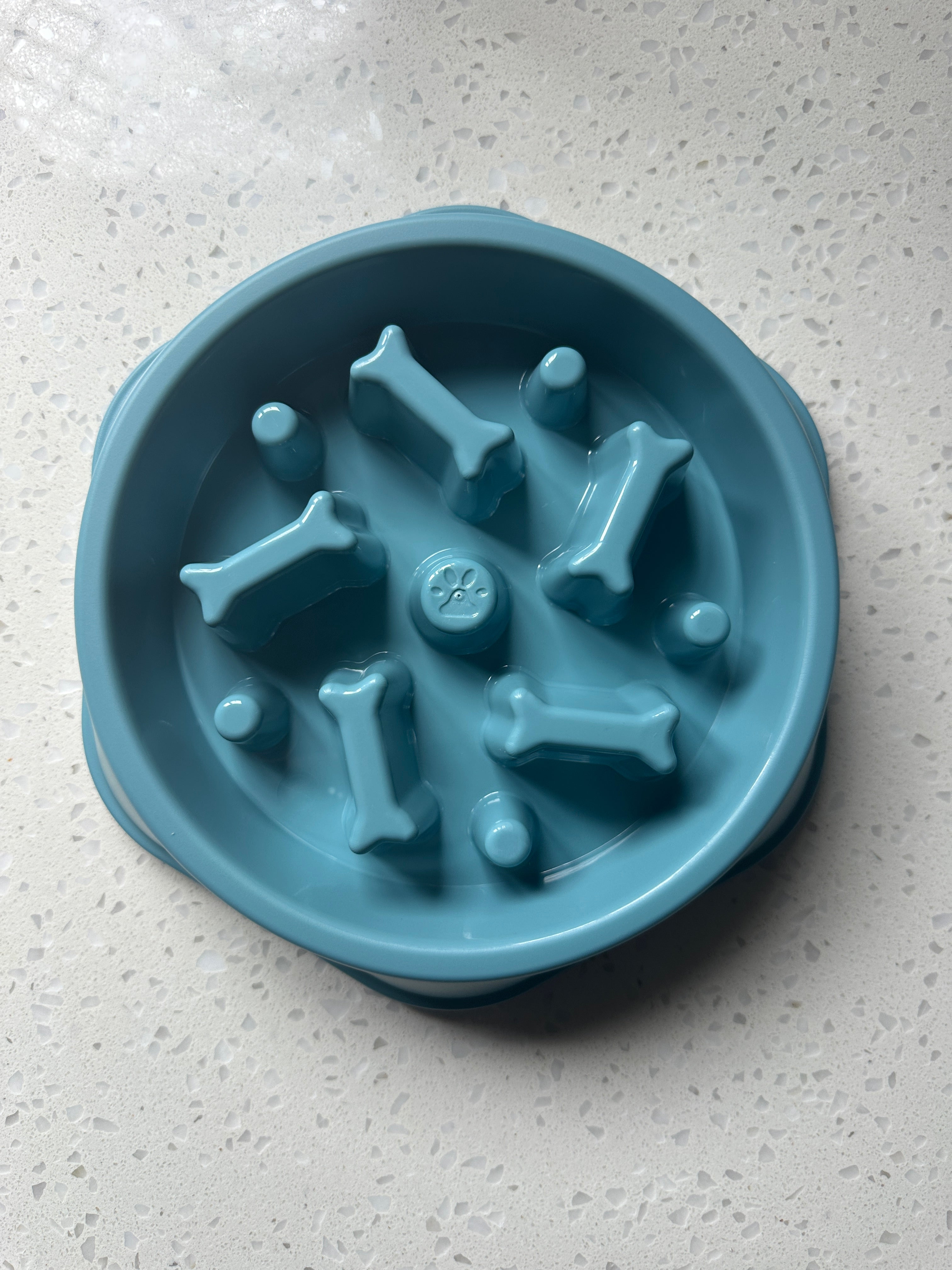 DoggoDiary™ Slow-Flow Bowl