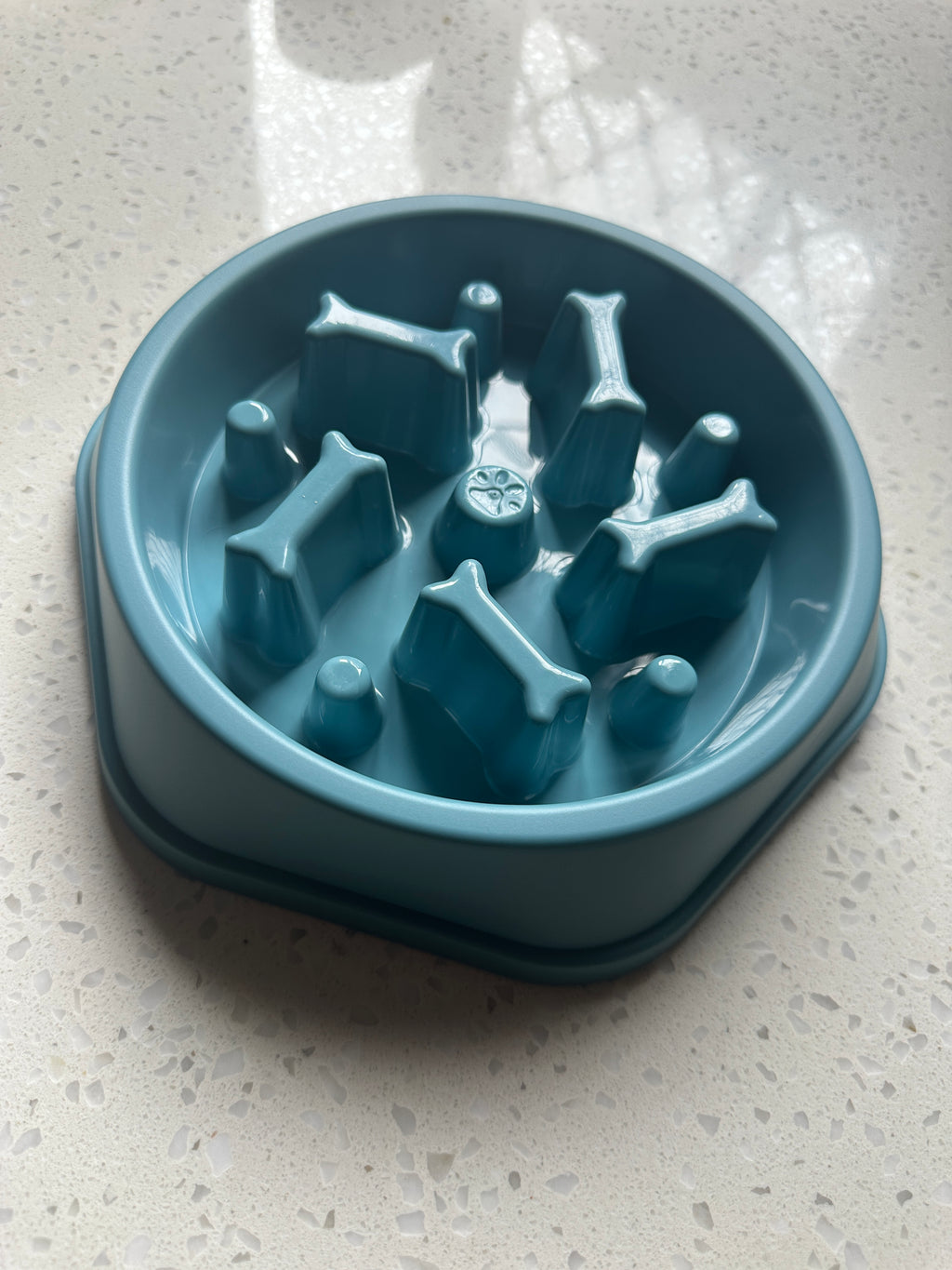 DoggoDiary™ Slow-Flow Bowl