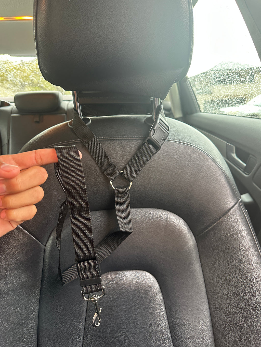 DoggoDiary™ Safety Headrest Belt