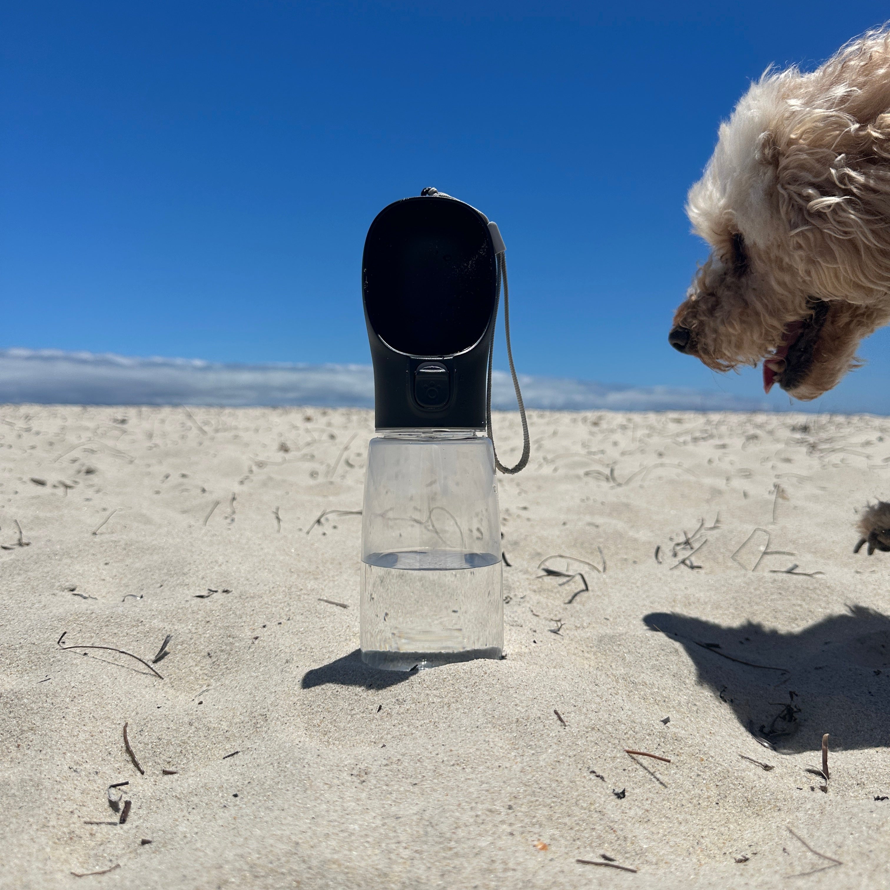 DoggoDiary Travel Bottle