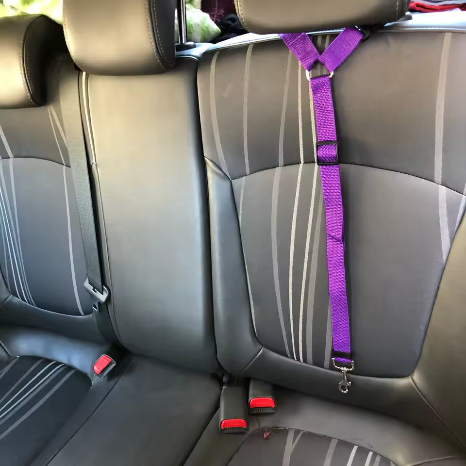 Headrest Seatbelt