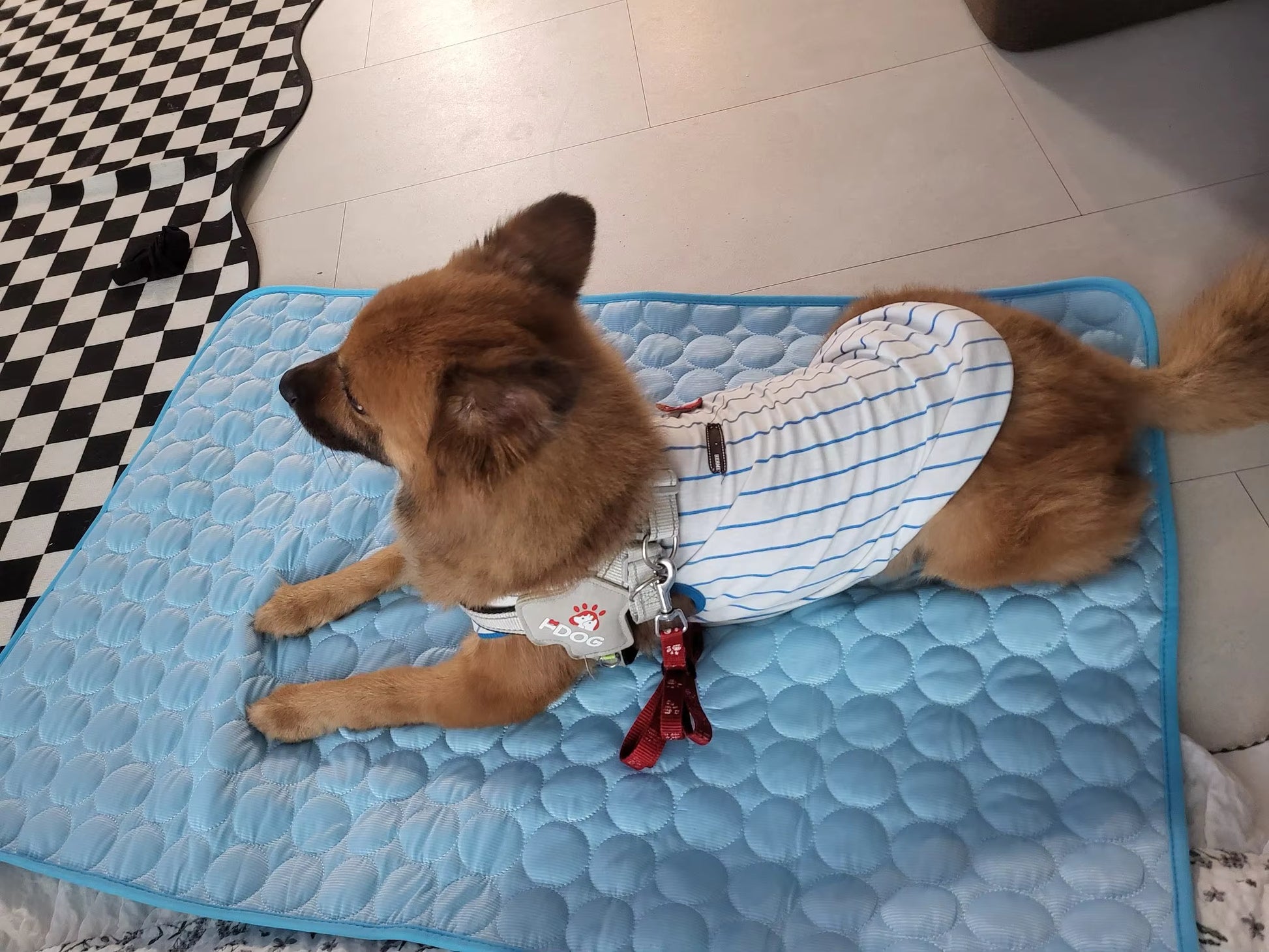 Cooling Mat