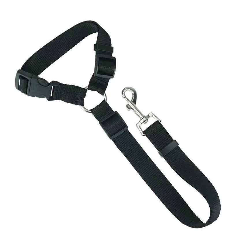 Headrest Seatbelt
